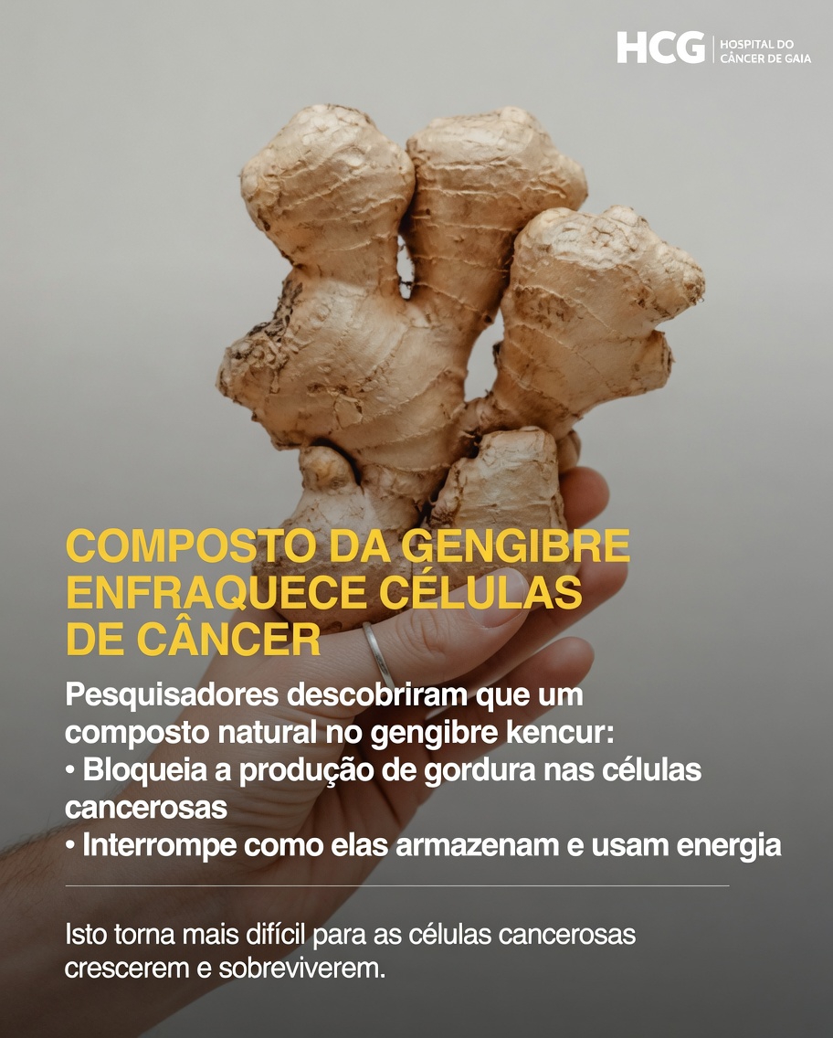 O que as pesquisas mais recentes revelam sobre a potencial interação do gengibre com células-tronco cancerígenas em estudos laboratoriais?