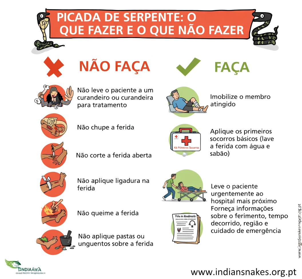 Como Identificar Picadas de Cobras Venenosas vs Não Venenosas: Sinais Essenciais e Passos de Primeiros Socorros
