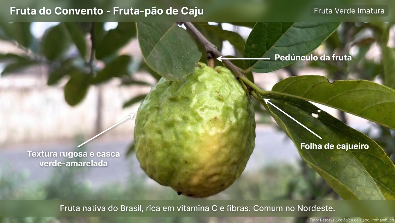 Explorando Maneiras Naturais de Apoiar a Saúde dos Olhos com Goiaba: Um Guia de Hábitos Diários