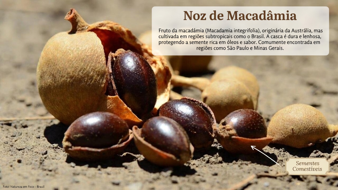 As sementes de tamarindo podem ajudar seu corpo a lidar com os microplásticos? O que as pesquisas iniciais estão mostrando