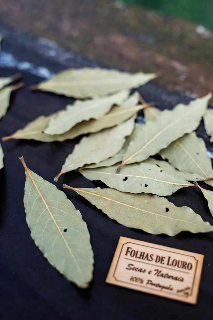 Descubra Maneiras Tradicionais de Incorporar Folhas de Louro à Sua Rotina Diária de Cuidados com a Pele para uma Pele com Aparência Mais Saudável