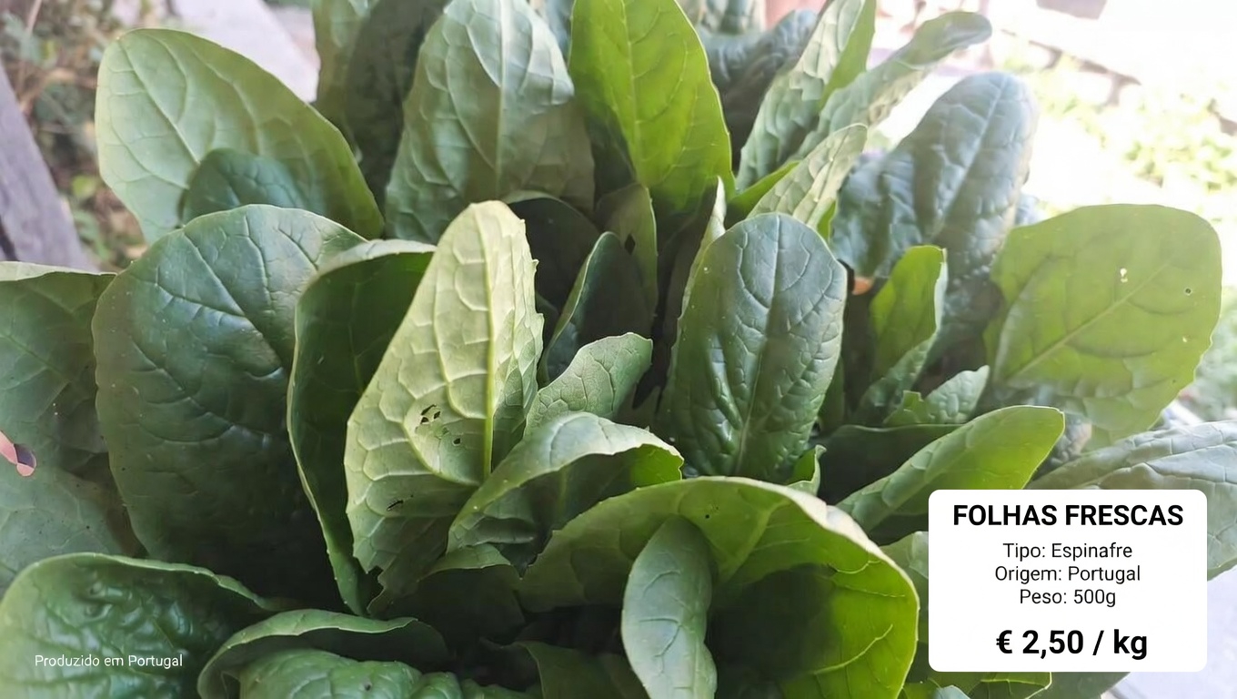 Que papel a vitamina K desempenha no seu corpo?