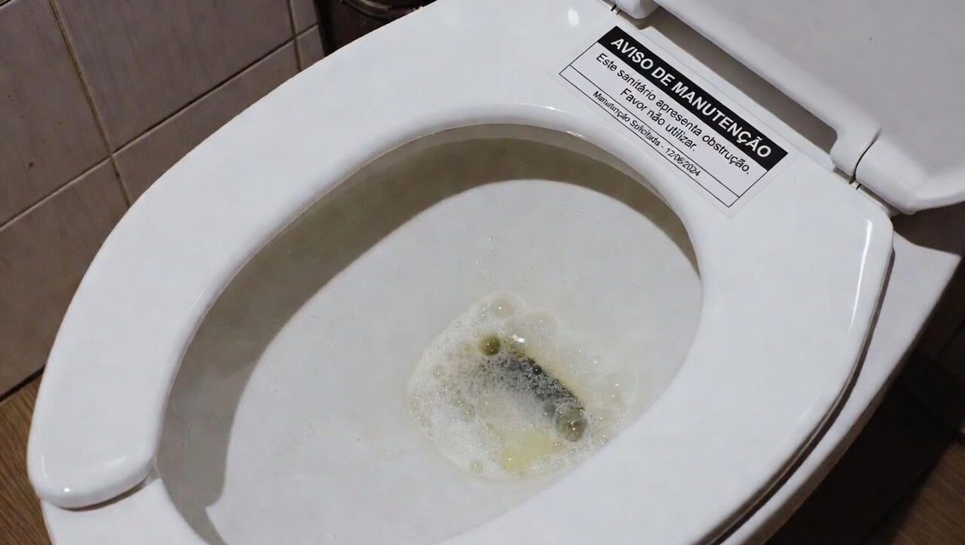 Urina espumosa: por que bolhas aparecem na sua urina e o que você pode fazer a respeito