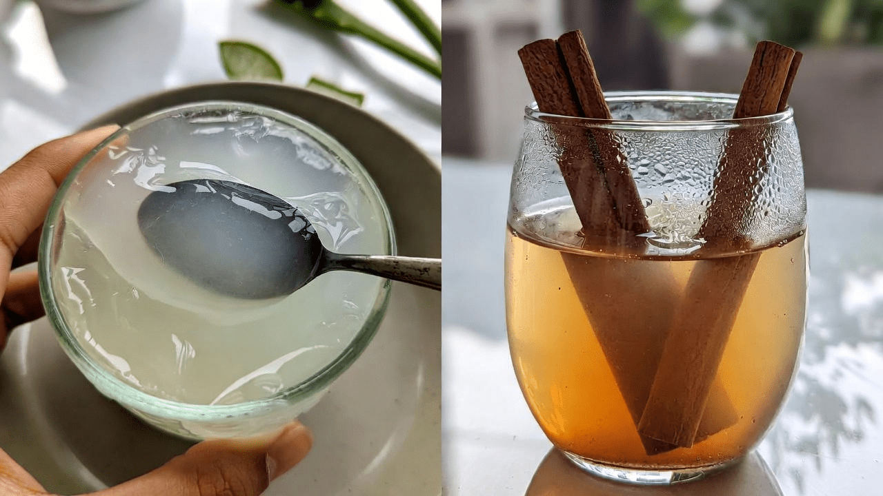 Aloe Vera e Canela: Explorando Ingredientes Naturais para o Bem-Estar e o Suporte à Saúde Ocular