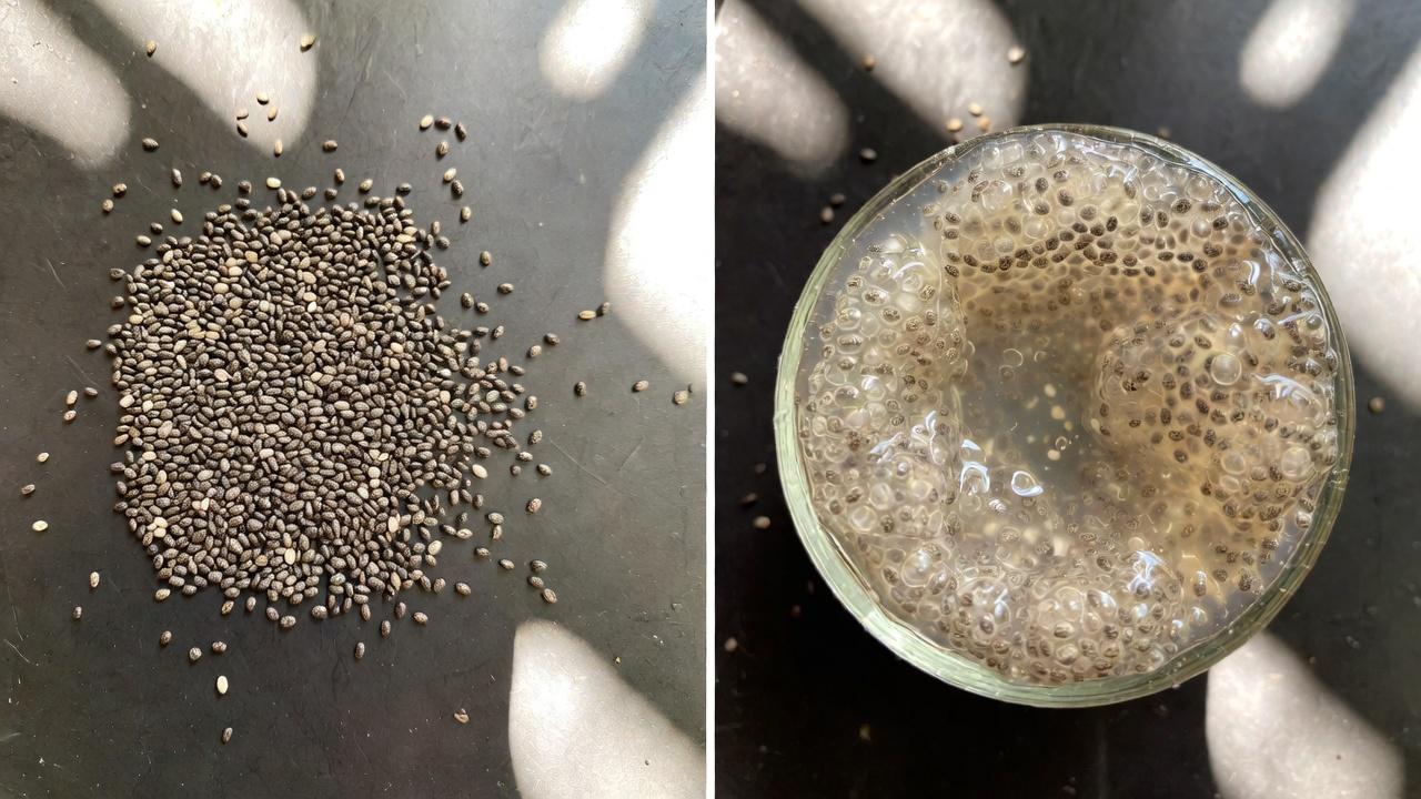 Por que a saúde do cólon é importante para o conforto diário