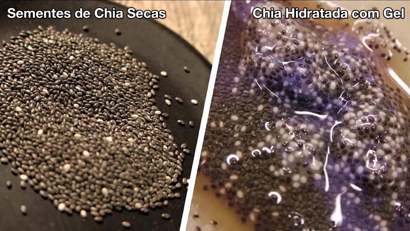 Por que a saúde do cólon é importante para o conforto diário