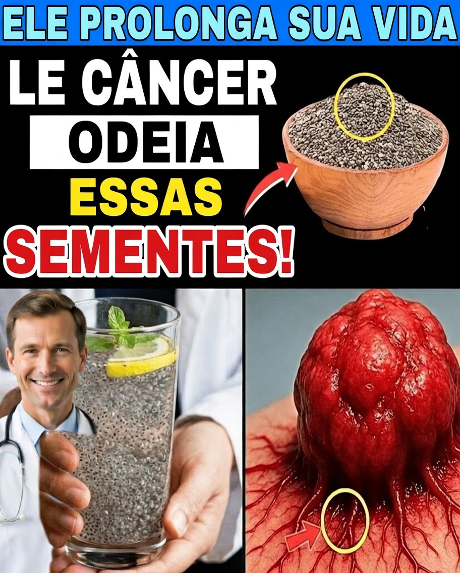 6 sementes do dia a dia que podem apoiar naturalmente as defesas do seu corpo contra o câncer após os 50 anos