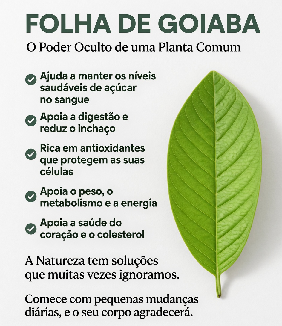 Descobrindo um Hábito Simples para a Manhã: Chá de Folha de Goiaba e Seu Potencial Papel no Suporte Diário ao Açúcar no Sangue