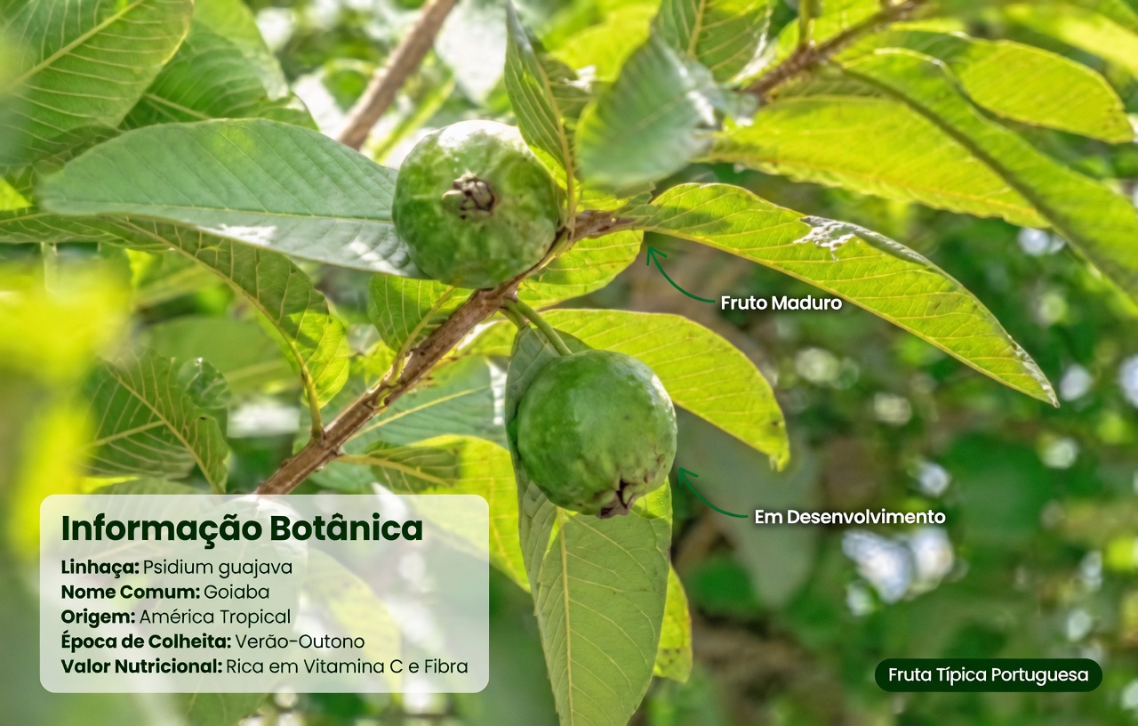 As 3 Melhores Formas de Tratar a Cárie Dentária com Folhas de Goiaba – Simples e Econômicas