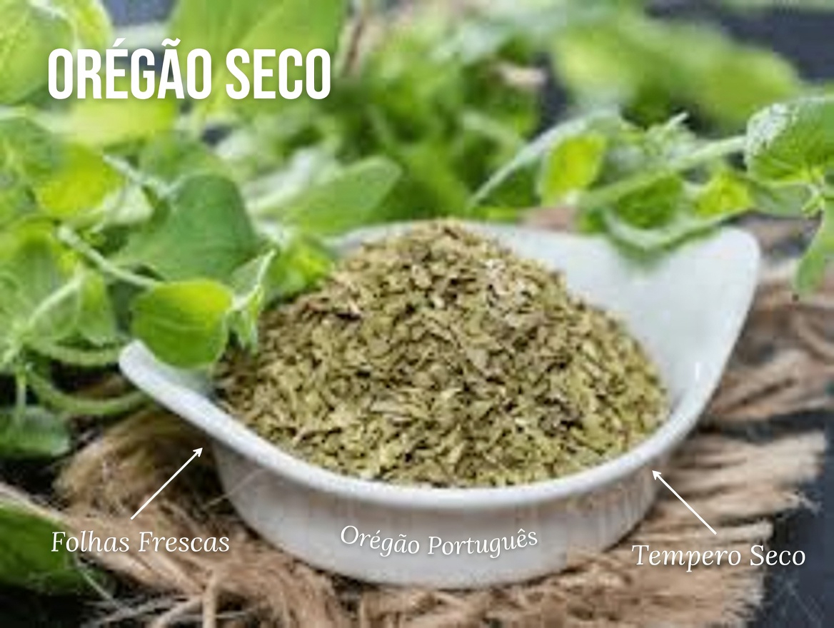 Descubra as Formas Surpreendentes como o Orégano Pode Apoiar sua Rotina Diária de Bem-Estar
