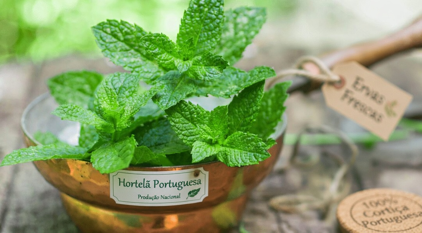 O Ladrão Silencioso: Maneiras Naturais de Apoiar Suas Artérias Sem a Farmácia