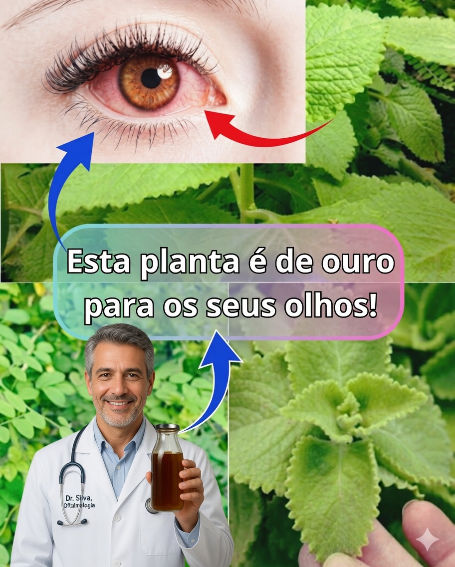Orégano orejón para a saúde dos olhos: benefícios, remédios naturais e modo de uso 🌿👁️