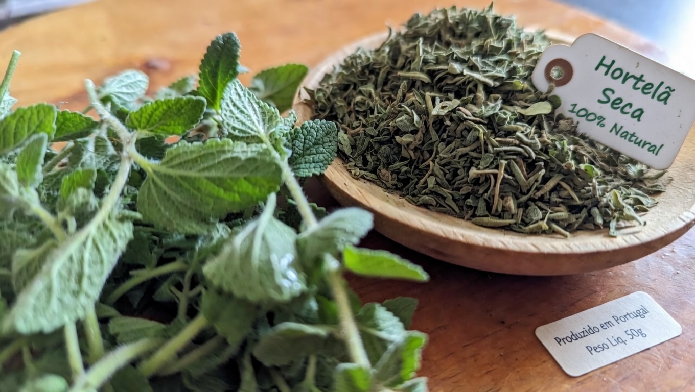 Descobrindo o Orégano Orejón: uma erva tradicional que pode ajudar na saúde dos olhos no dia a dia