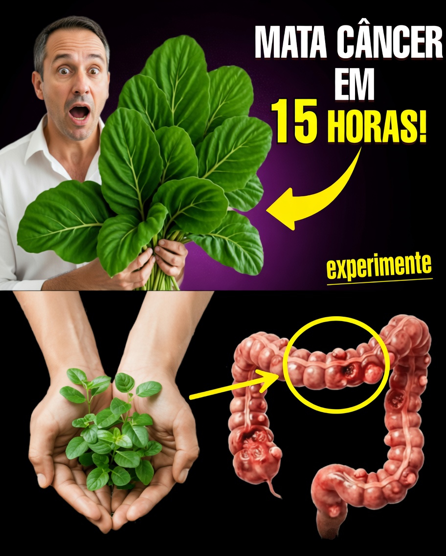 A Folha Ignorada Que Pode Ajudar Seu Corpo a Combater Células Cancerígenas (E Mais 14 Estratégias Naturais Que a Big Pharma Não Quer Que Você Saiba)