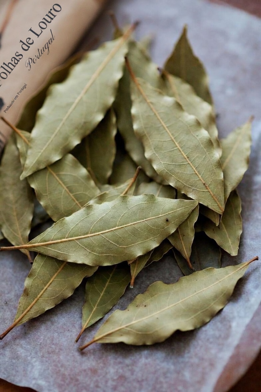 Tudo o que você precisa saber sobre como incorporar folhas de louro à sua rotina natural de cuidados com a pele e beleza