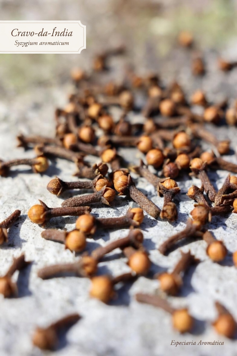 Mastigar cravos-da-índia diariamente pode apoiar o seu bem-estar geral? Um olhar mais atento sobre esta especiaria ancestral