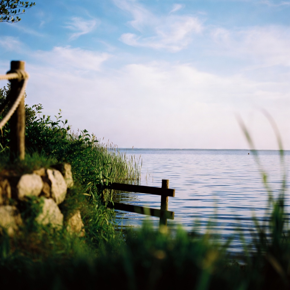 Mais de 60? 6 ervas poderosas que podem ajudar a dissolver coágulos ocultos nas pernas e melhorar a circulação naturalmente