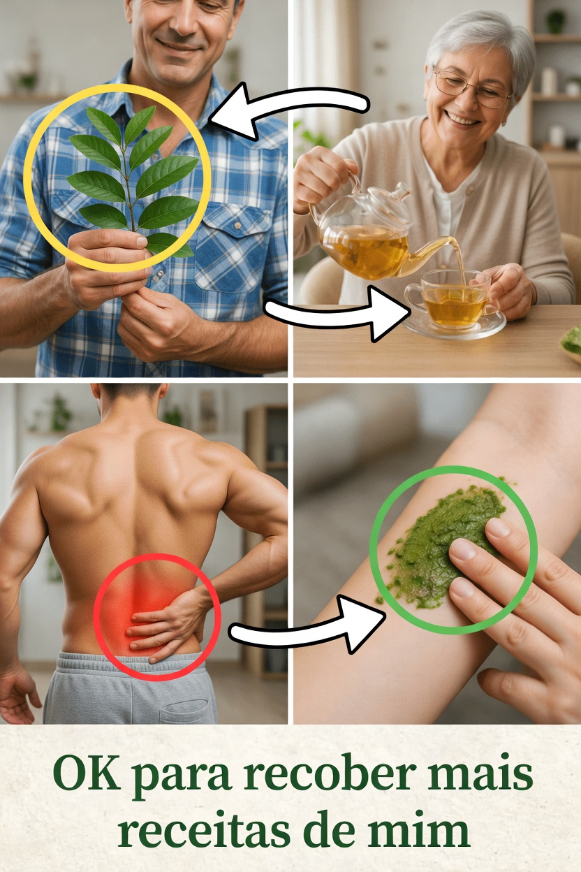 Folhas de Goiaba para a Saúde dos Ossos e das Articulações: Receitas Fáceis e Dicas para Experimentar em Casa Hoje