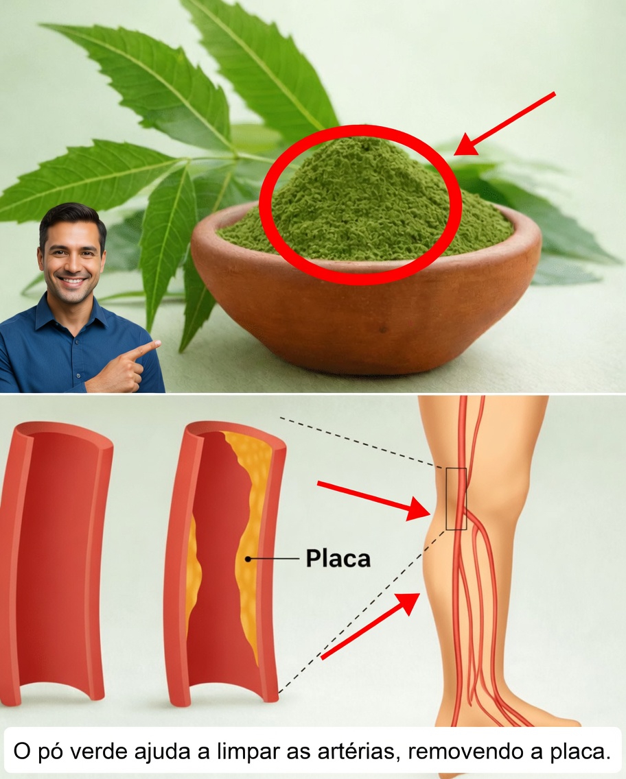 A Única Folha Amarga que Está Silenciosamente Tornando as Caixinhas de Remédios Obsoletas para Americanos com Mais de 60 Anos