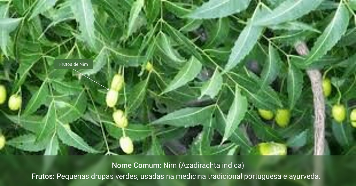 A Única Folha Amarga que Está Silenciosamente Tornando as Caixinhas de Remédios Obsoletas para Americanos com Mais de 60 Anos