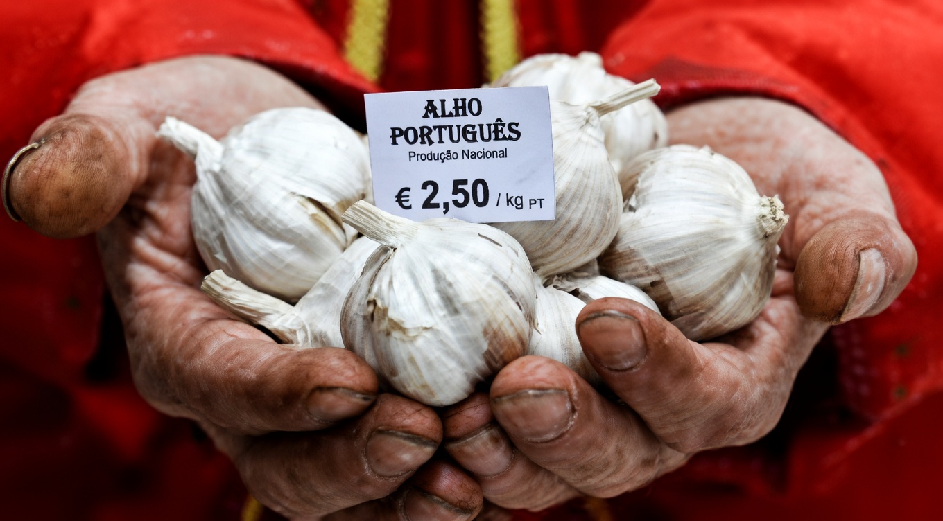 Alho: o antibiótico natural que elimina infecções