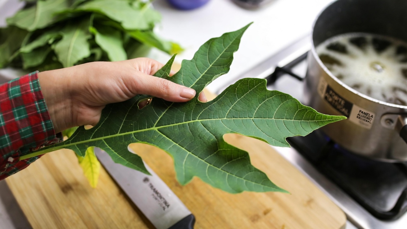 As folhas de mamão podem contribuir para um cabelo e couro cabeludo mais saudáveis? Dois métodos caseiros simples para experimentar