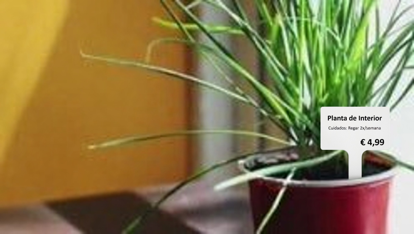 Liquidâmbar-americano (Liquidambar styraciflua): benefícios para a saúde e maneiras fáceis de usá-lo em casa