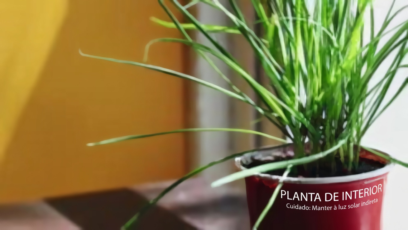 Ervas Daninhas ou Maravilhas? Descubra os Tesouros Escondidos Nestas 4 Plantas Comuns