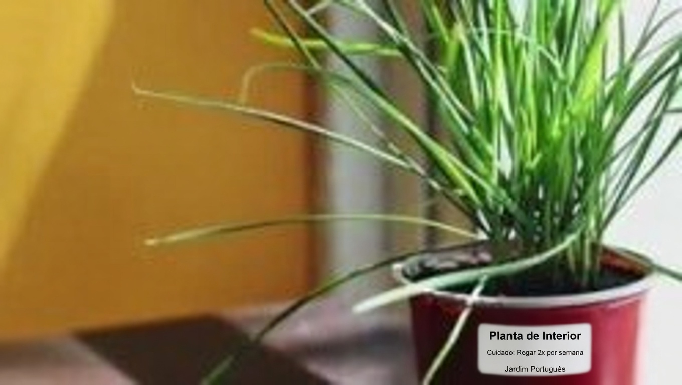 Urtiga-branca (Lamium album): 10 benefícios poderosos e usos caseiros