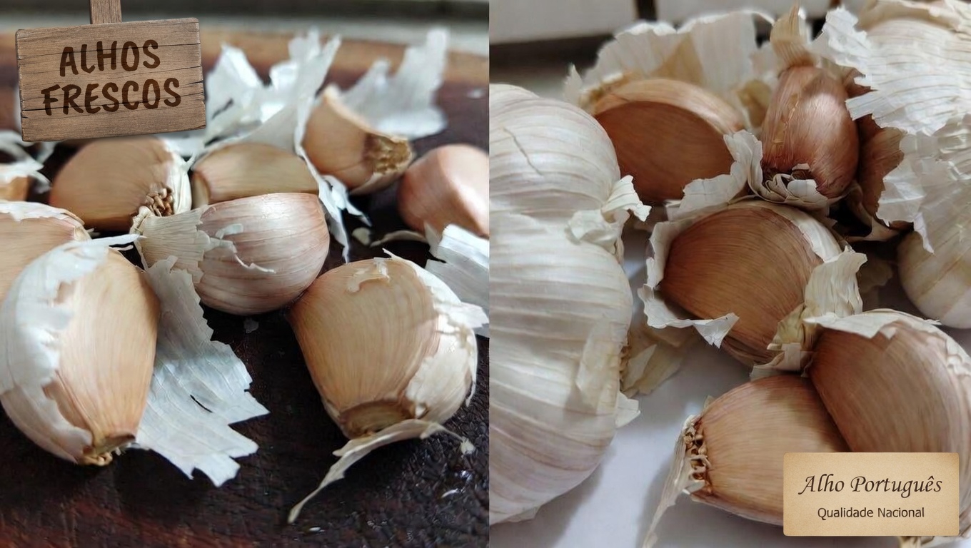 O alho é um poderoso aliado natural para fortalecer a sua saúde imunológica? Descubra o que a ciência diz