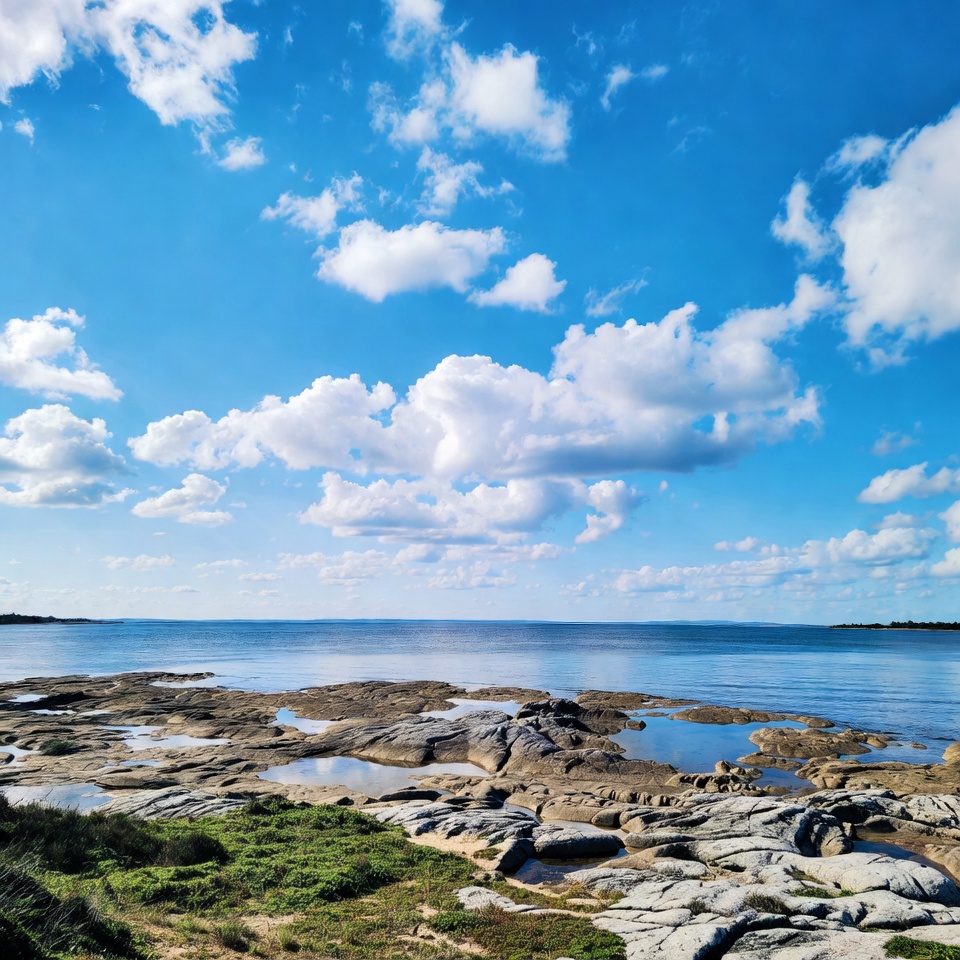 Limpe seus pulmões e pare de tossir em três dias!