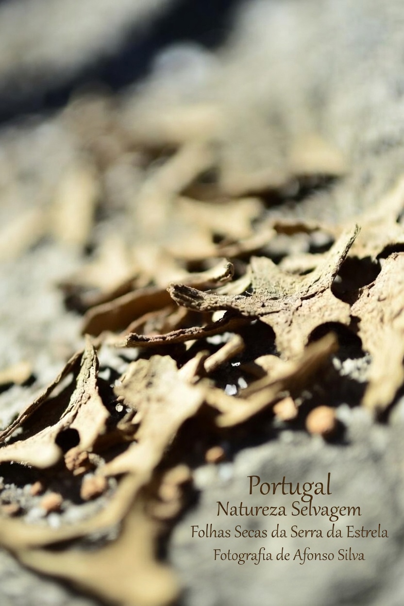 O que é a amlodipina e por que ela causa efeitos colaterais?