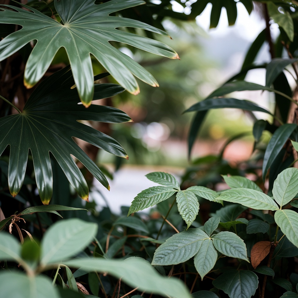 5 folhas incríveis para melhorar a saúde dos olhos e proteger a visão