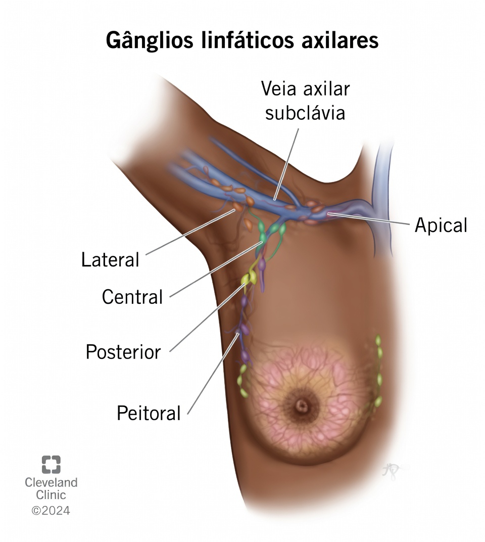 Linfonodos das Axilas Explicados com Hábitos do Dia a Dia que Ajudam a Parte Superior do Corpo a se Sentir Mais Leve e Sustentada