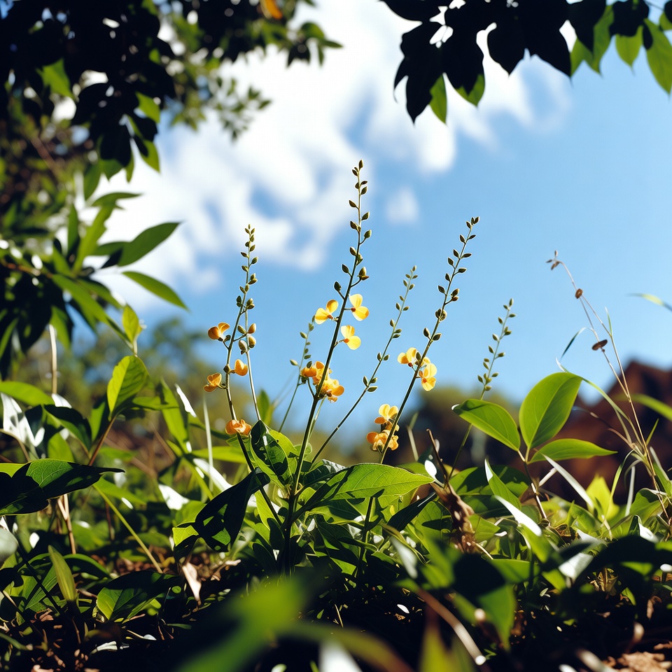 12 Benefícios Incríveis para a Saúde da Planta Quebra-Pedra que Você Não Pode Perder