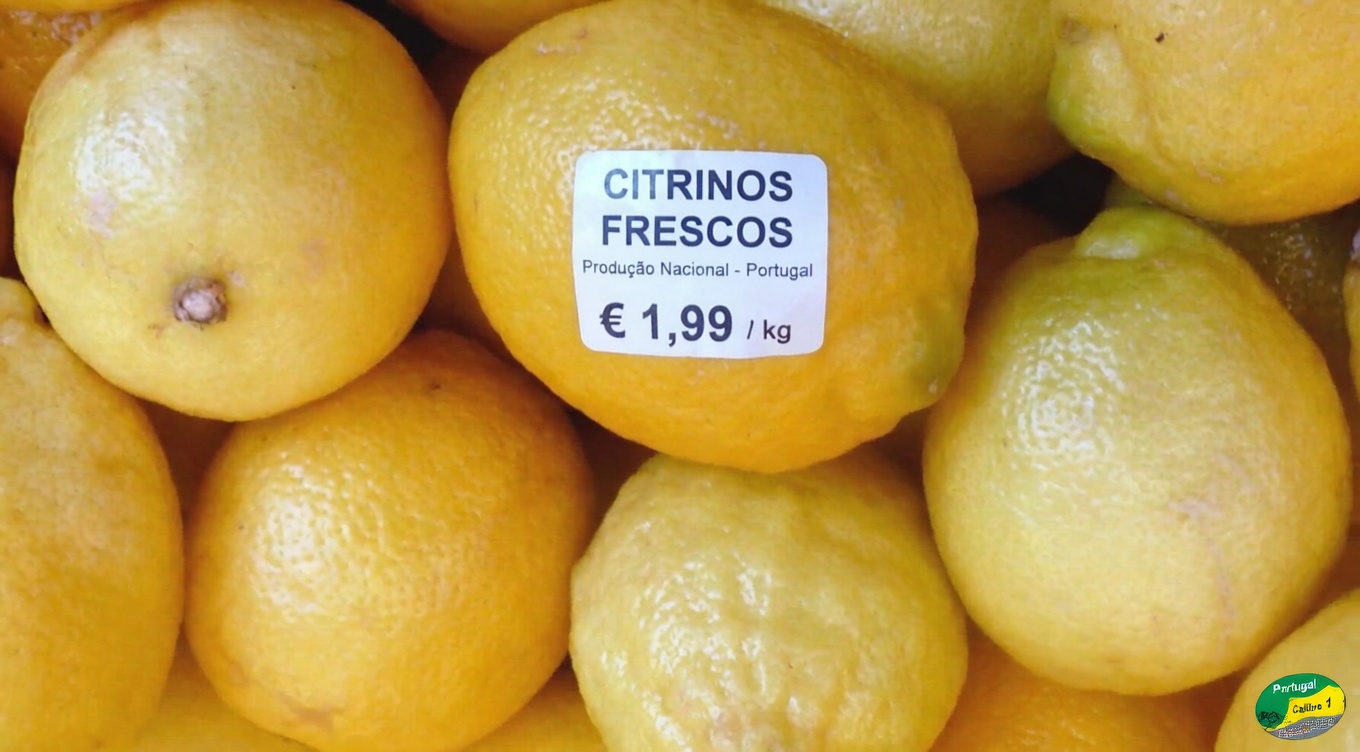 O antibiótico natural que ajuda com infecções na bexiga e nos rins mesmo após poucos tratamentos