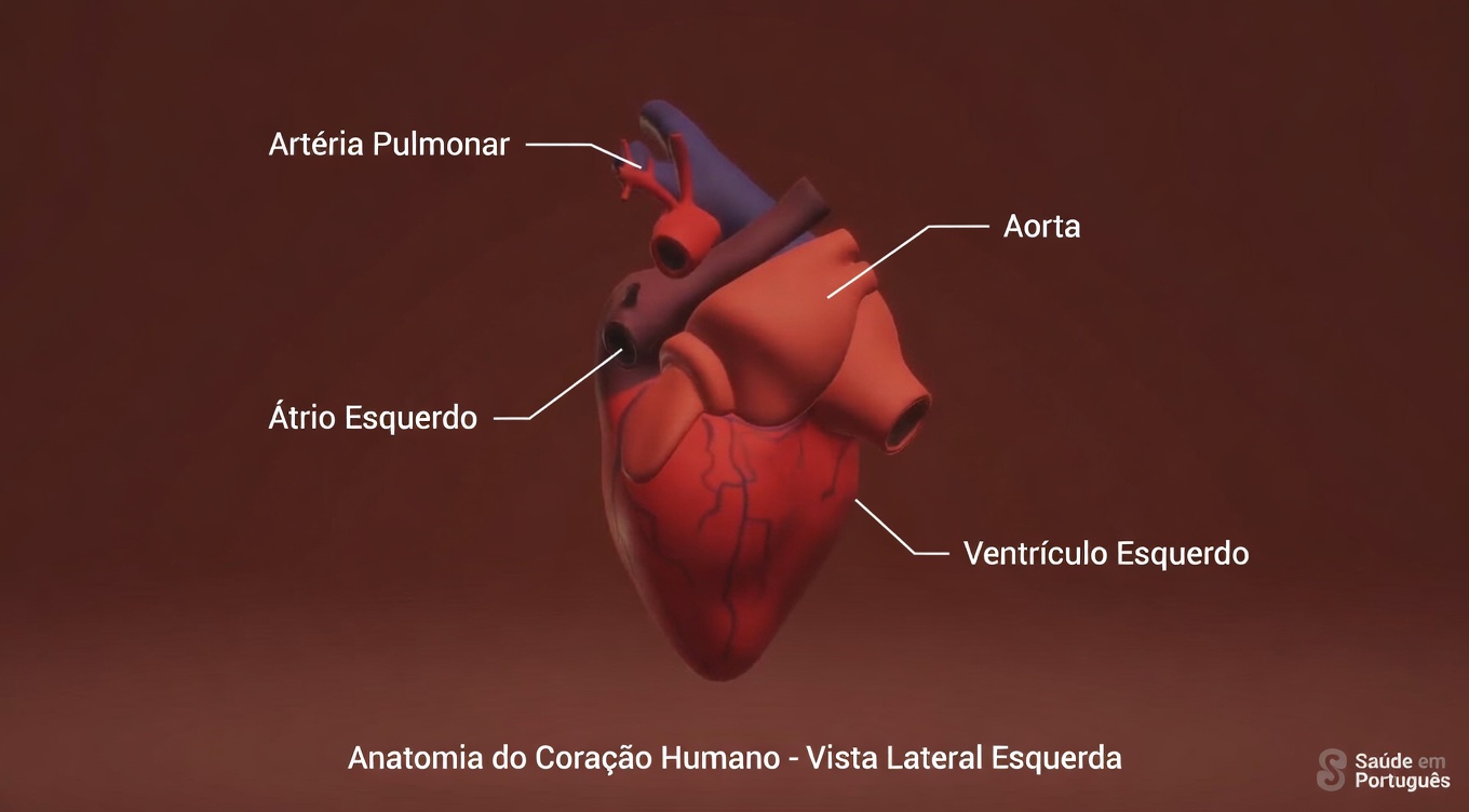 O antibiótico natural que ajuda com infecções na bexiga e nos rins mesmo após poucos tratamentos