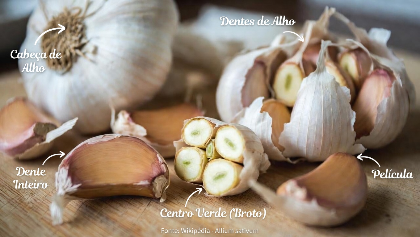 O Que Acontece com o Seu Corpo Quando Você Come Alho Cru Antes de Dormir? Um Hábito Noturno Simples que Vale a Pena Explorar