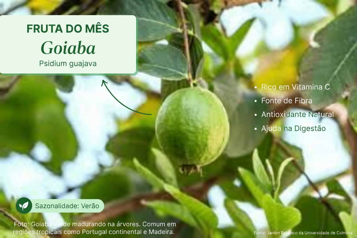 Explorando Formas Naturais de Apoiar a Saúde dos Olhos com Goiaba: Um Guia Simples