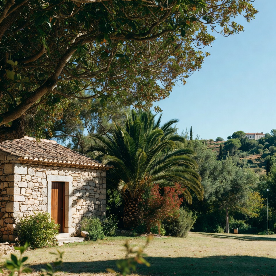 12 principais hábitos de estilo de vida para apoiar níveis saudáveis de creatinina e a função renal