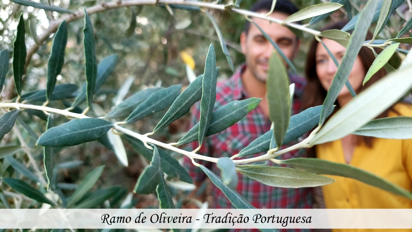 A Folha Esquecida que Pode Ajudar seu Corpo a Combater Células Cancerígenas