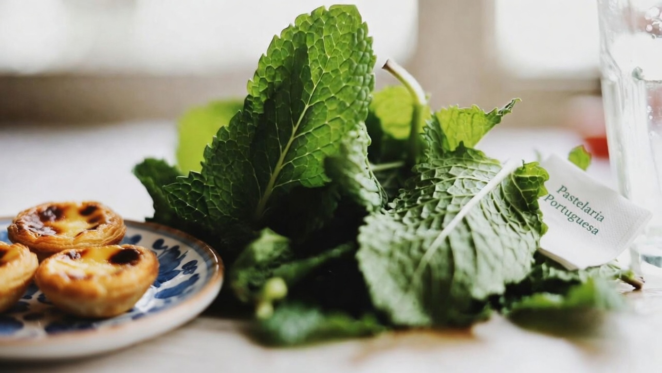 Orégano Orejón: A Erva Pouco Conhecida Que Pode Proteger Naturalmente Sua Visão