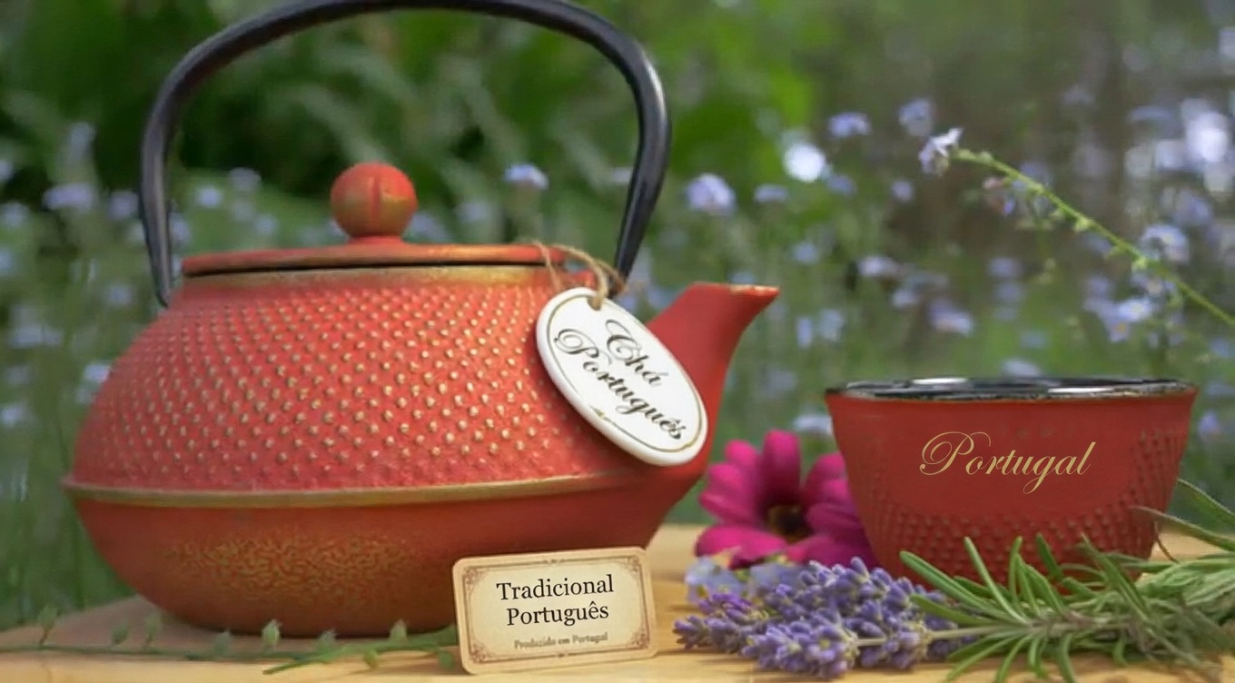 Top 15 Ervas Que Podem Eliminar Infecções e Limpar o Muco dos Pulmões