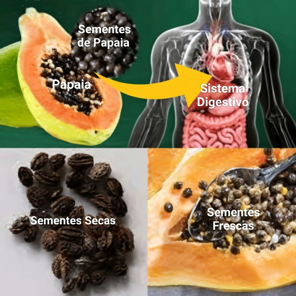 Explorando os Potenciais Benefícios das Sementes de Mamão para a Saúde Digestiva e o Bem-Estar Geral