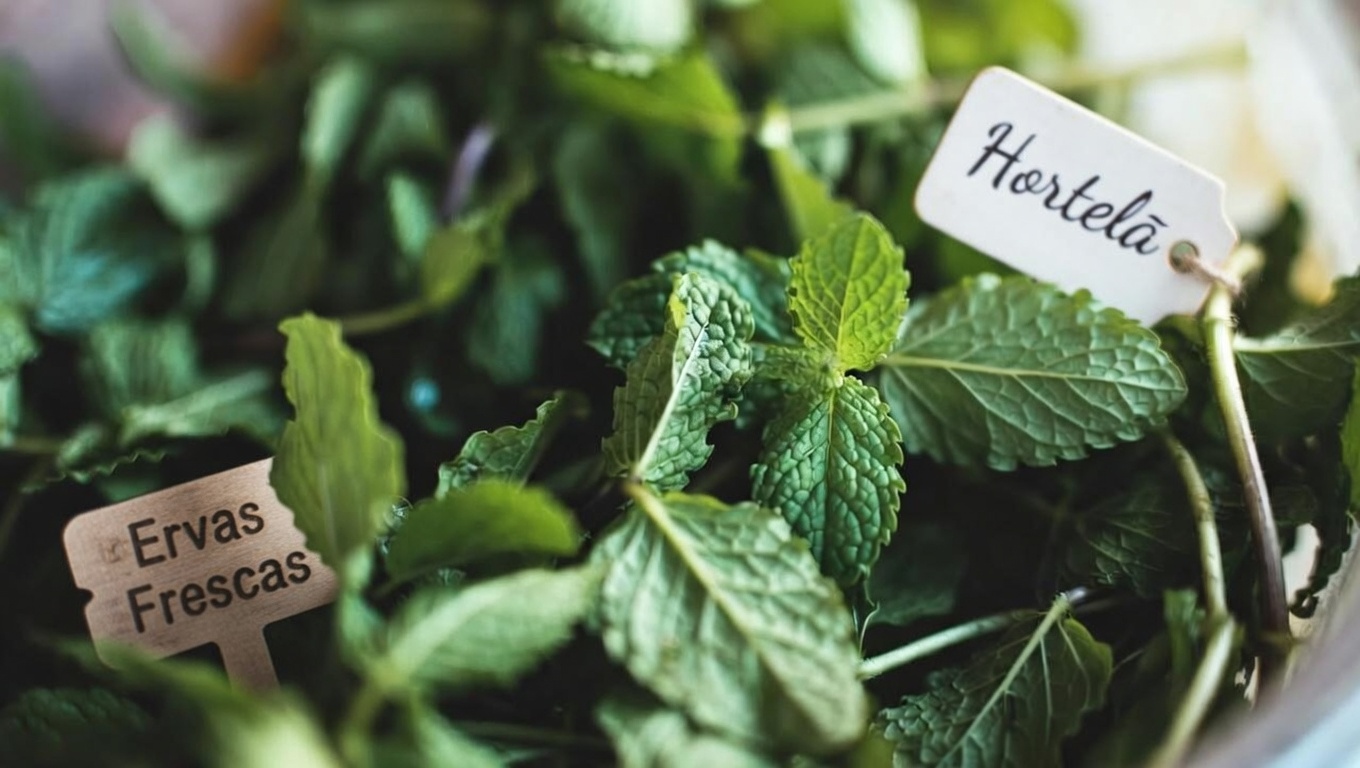 Por que vale a pena considerar as folhas de hortelã para a saúde dos olhos