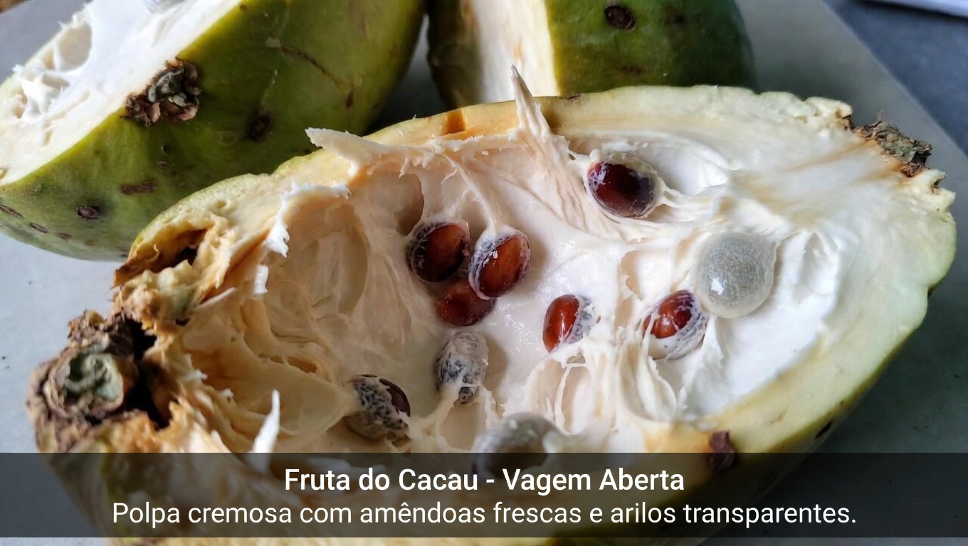 Cherimoia: 10 maneiras simples de incluir esta fruta tropical cremosa para melhor suporte antioxidante nos seus anos mais avançados