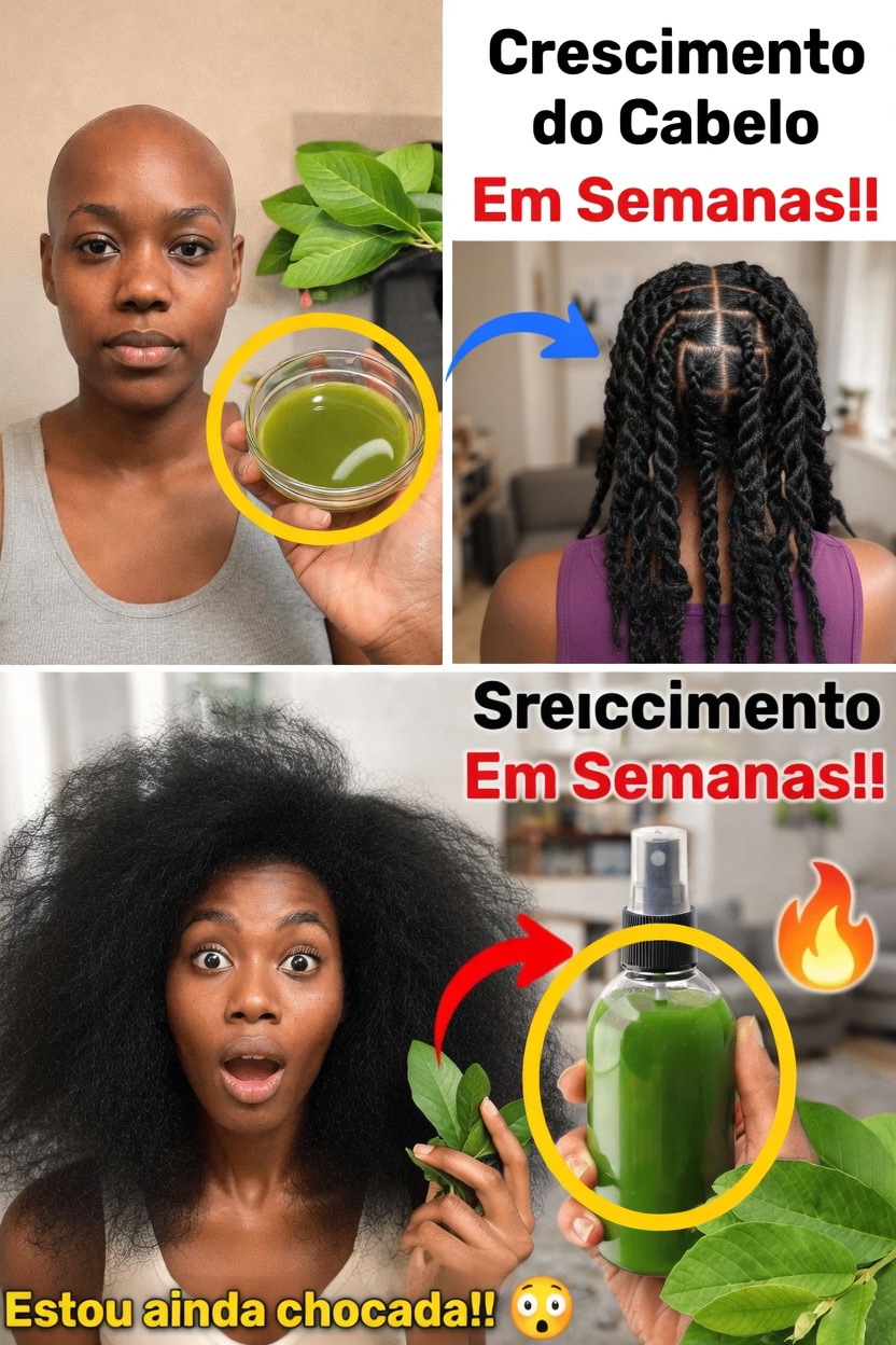 As folhas de goiabeira podem favorecer um cabelo mais saudável? Explorando os potenciais benefícios e como usá-las