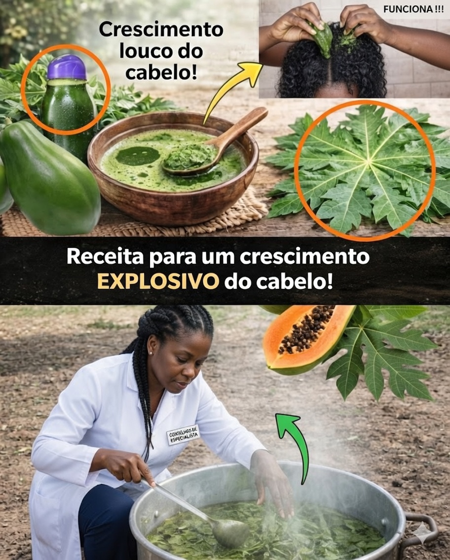 🌿 « Descubra o poder das folhas… »: o que essas plantas medicinais realmente oferecem (sem cair em mitos)