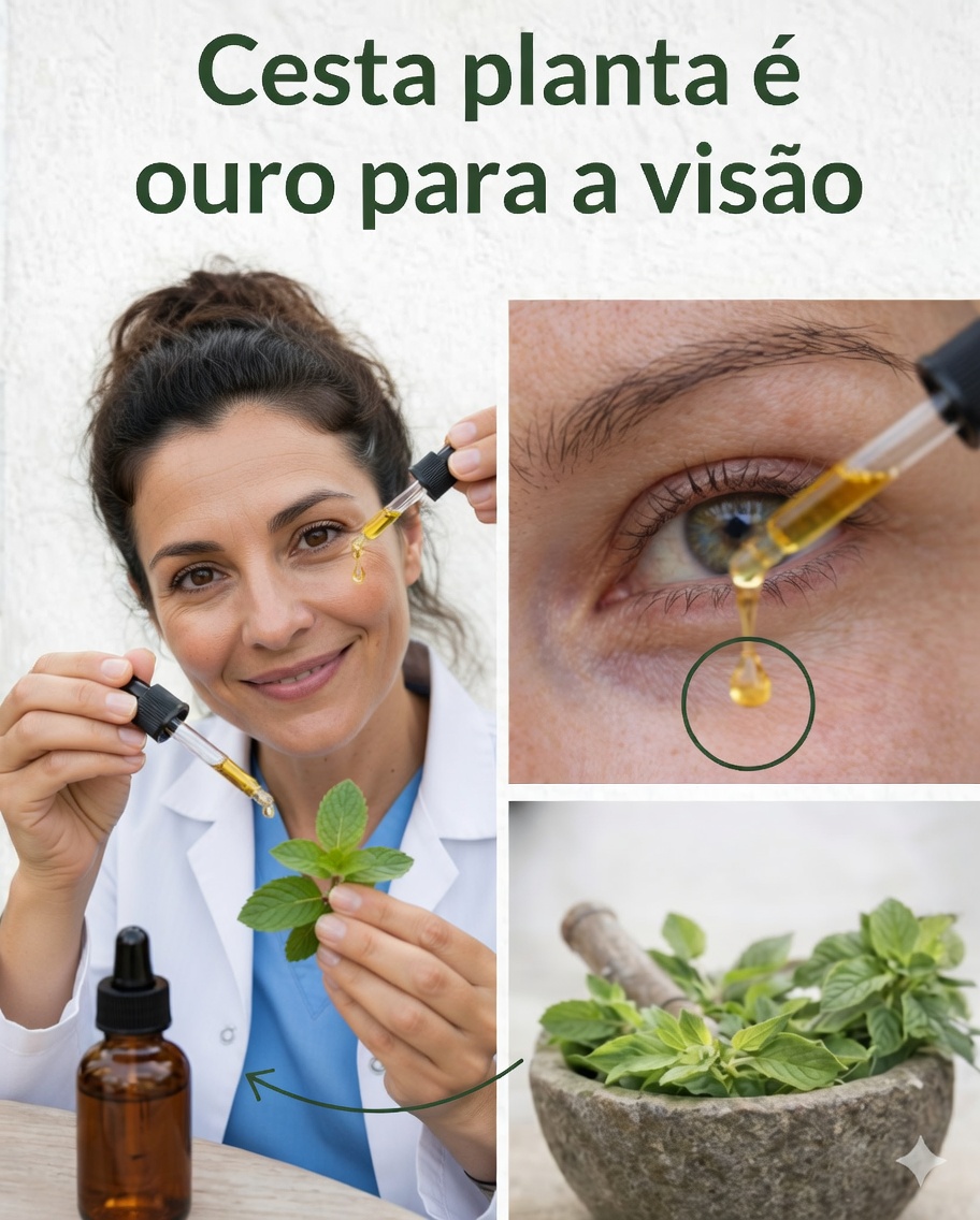 🌿 Orégano: o antibiótico natural que pode transformar a sua saúde