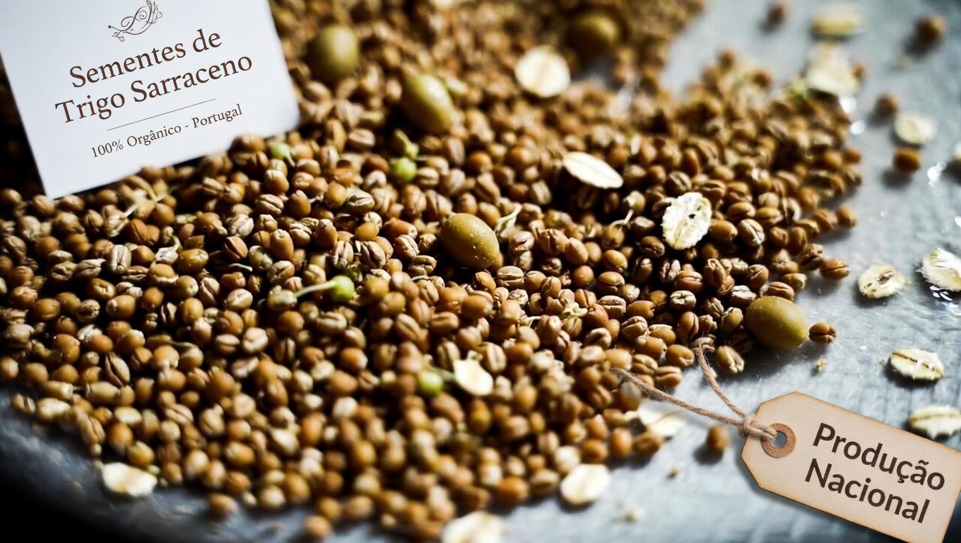 Os Melhores Pães para Quem Controla a Glicemia: Opções de Baixo IG para Considerar